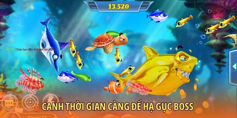 Canh thời gian vàng để hạ gục mục tiêu