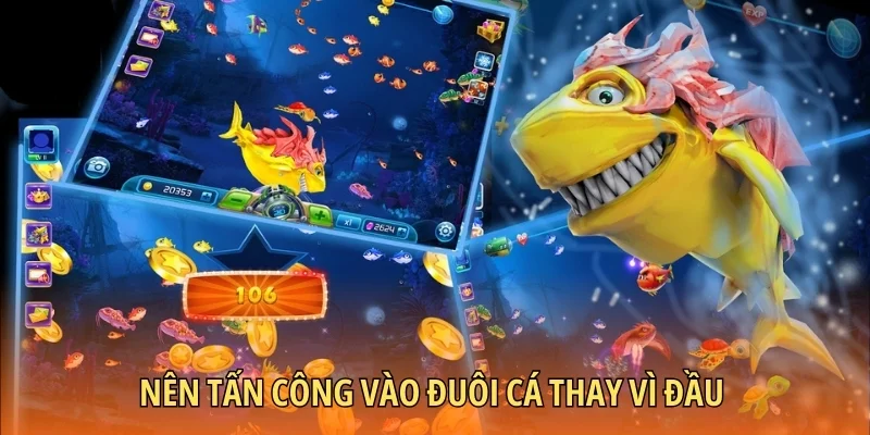 Nên canh tấn công vào đuôi mục tiêu