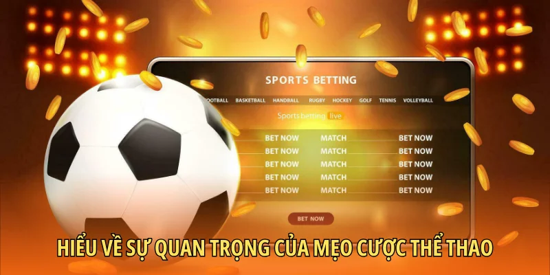 meo-ca-cuoc-the-thao-an-tien