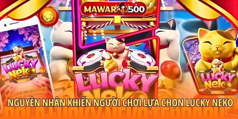 Nguyên nhân khiến người chơi lựa chọn Lucky Neko